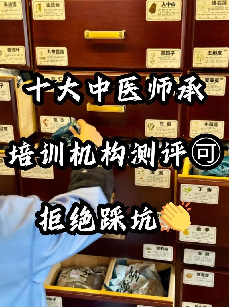 江苏新浦靠谱中医师承培训机构推荐，避开踩雷