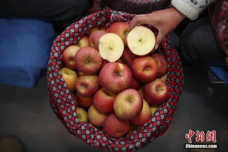 _晋州新增病例_晋州疫情通报