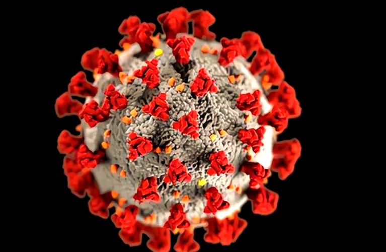 新冠疫情造成全球死亡人数_新冠疫情全球死亡人数占比_