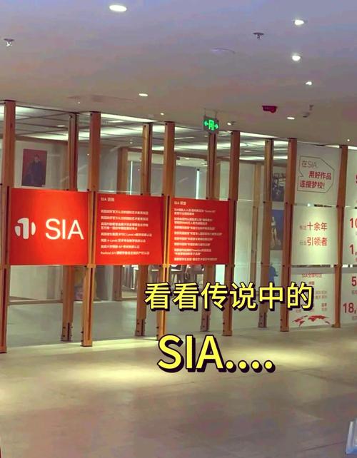 福建政和靠谱艺术留学机构推荐，含sia及其他好去处