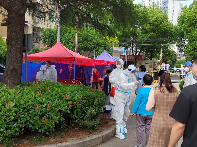 石家庄核酸亭关闭致信市民，多家核酸机构被查8家立案