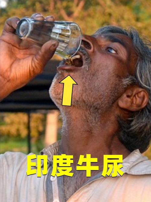 _印度疫情教授_印度疫情死者