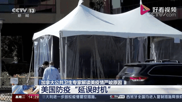 _疫情最新国内_疫情最新国内报告消息情况查询