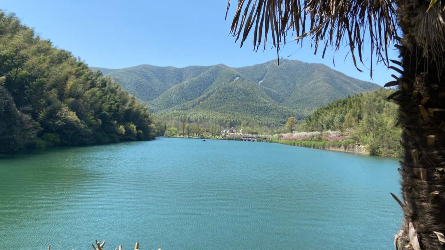 2021无锡去宜兴回来要隔离吗？宜兴竹海景区恢复开放通知