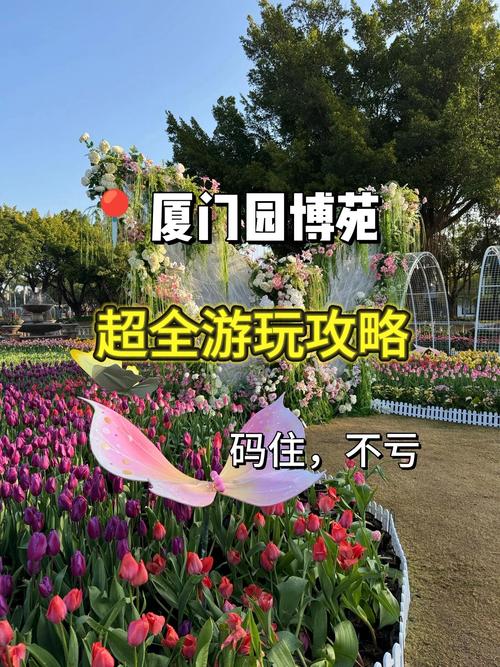 厦门图书馆什么时候开放_厦门市图书馆免费开放吗_