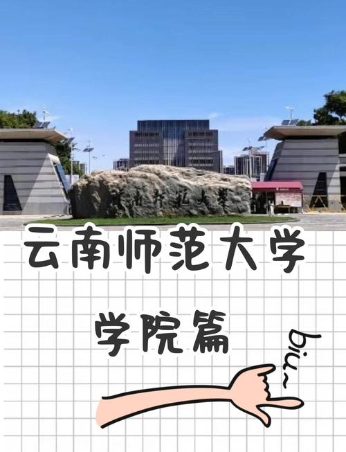 云南师范大学商学院代码是多少__云南师范商学院专业代码