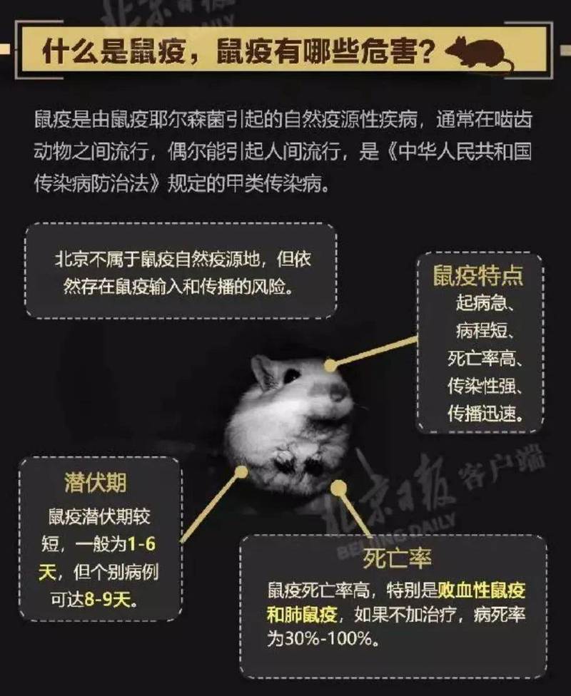 _重大动物疫情等级_级别疫情重大动物确定标准最新