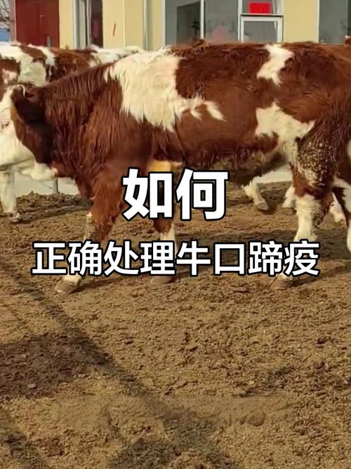 _口蹄疫最开始症状_口蹄疫综述