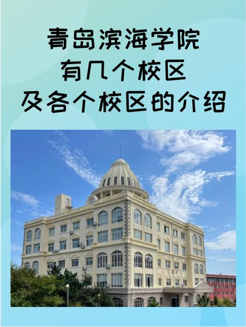 _青岛大学有人力资源管理专业吗_青岛大学有人才引进吗